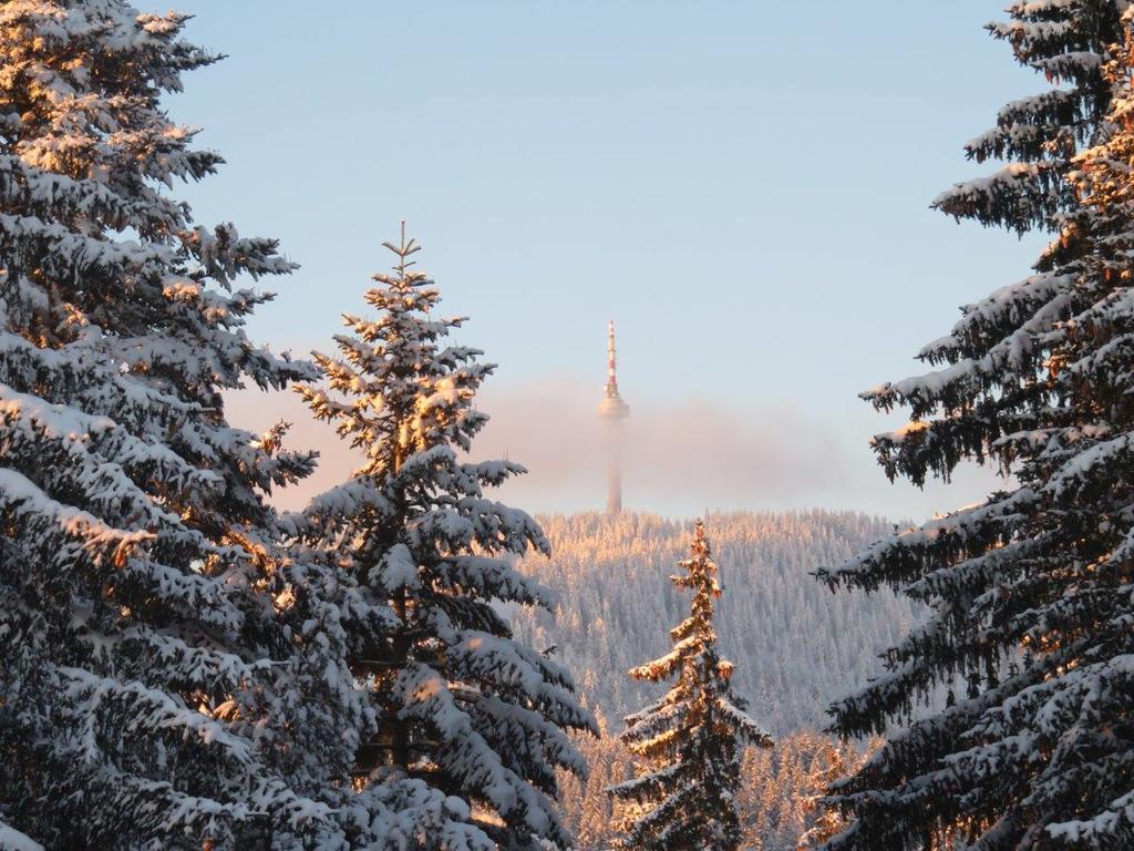 Elina Hotel Pamporovo Eksteriør billede