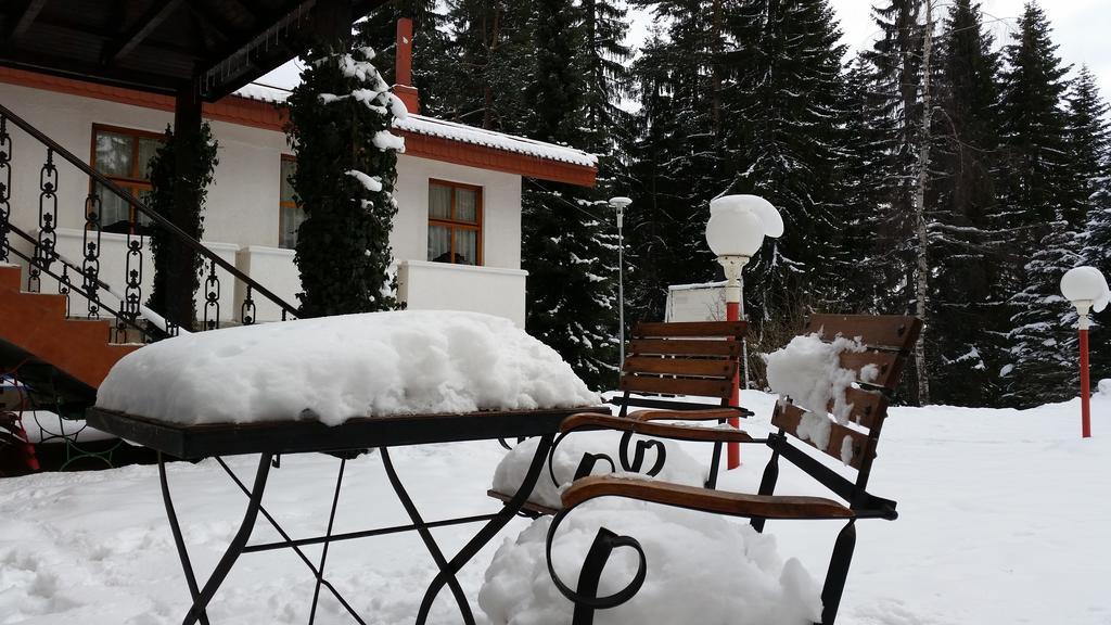 Elina Hotel Pamporovo Eksteriør billede